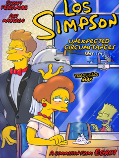 The Simpsons – Unexpected Circumstances